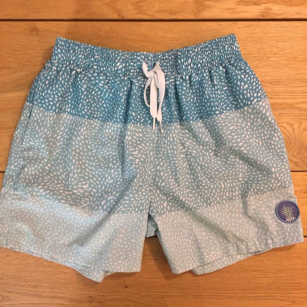 Chubbies swim trunks blue teal small